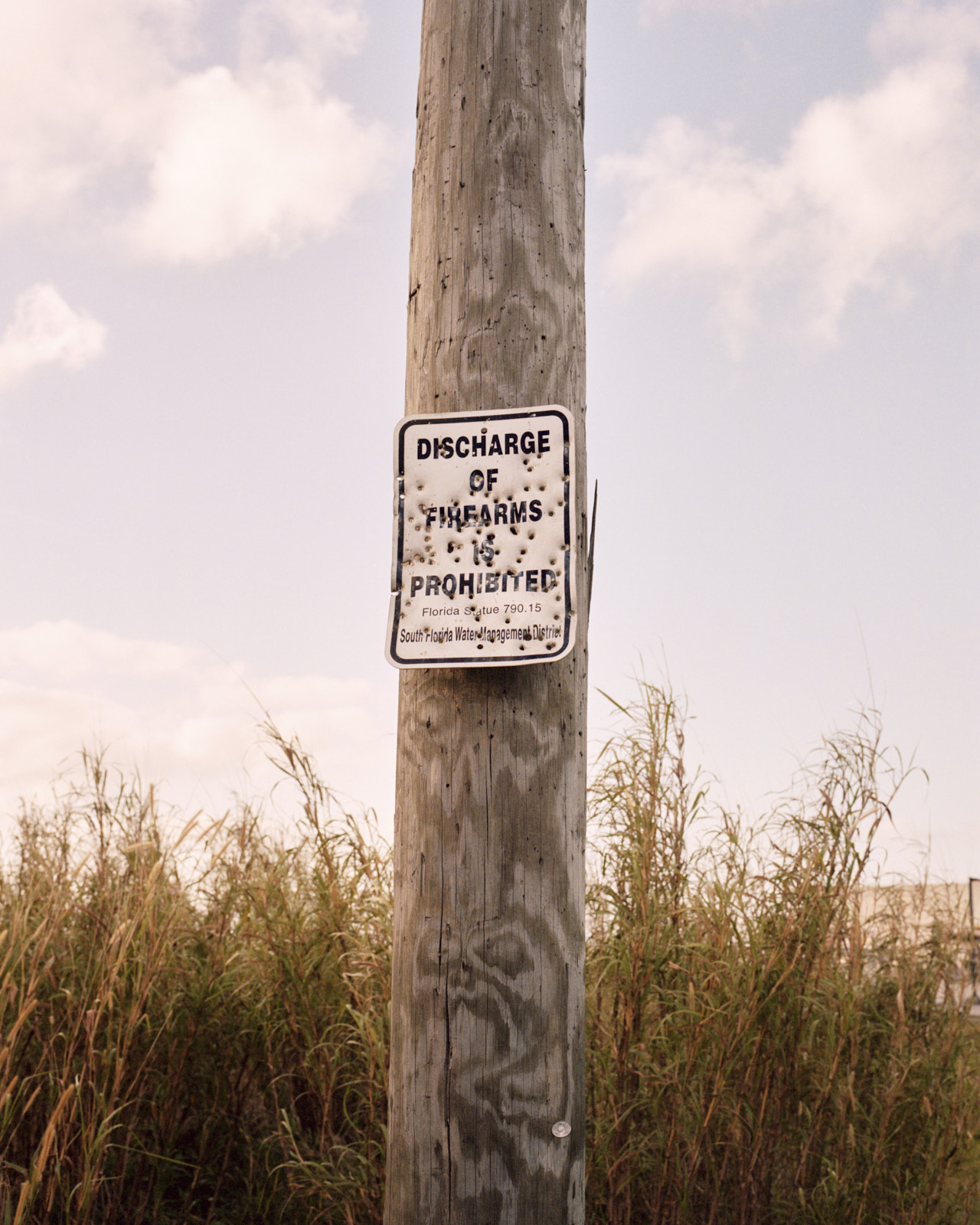 Hunting invasive Burmese python in Southern Florida Everglades. Documentary photos shot on Kodak film
