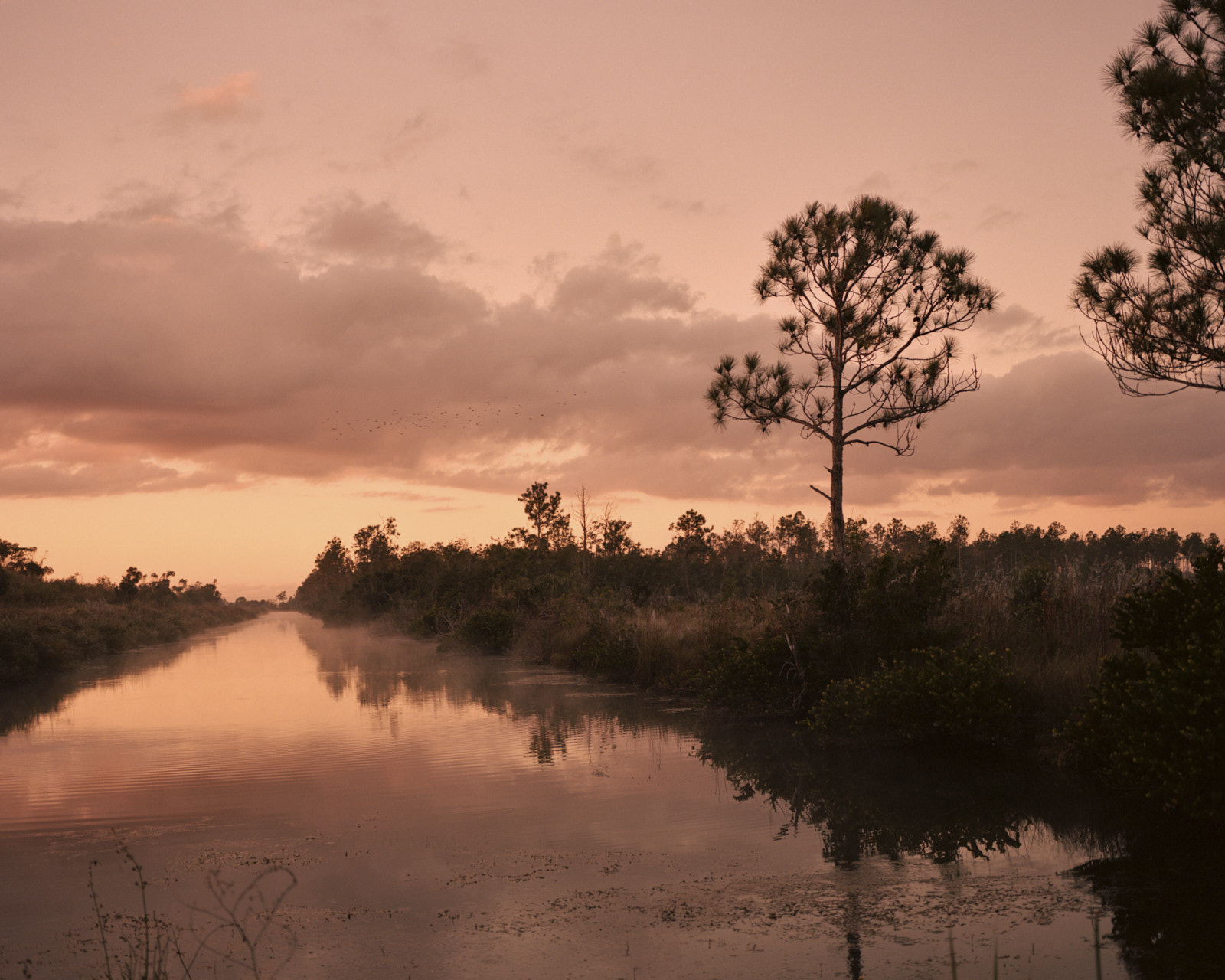 Hunting invasive Burmese python in Southern Florida Everglades. Documentary photos shot on Kodak film