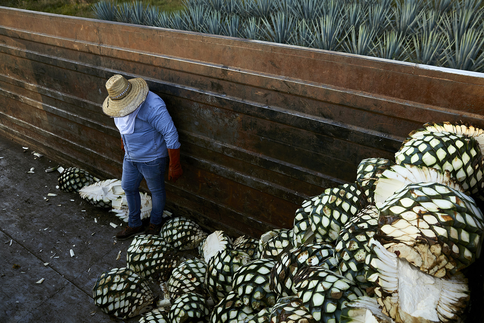 Documented the tequila making process in Jalisco, Mexico and helped build brand recognition with an emerging boutique tequila by traveling through Mexico and capturing different aspects of “taking it slow”