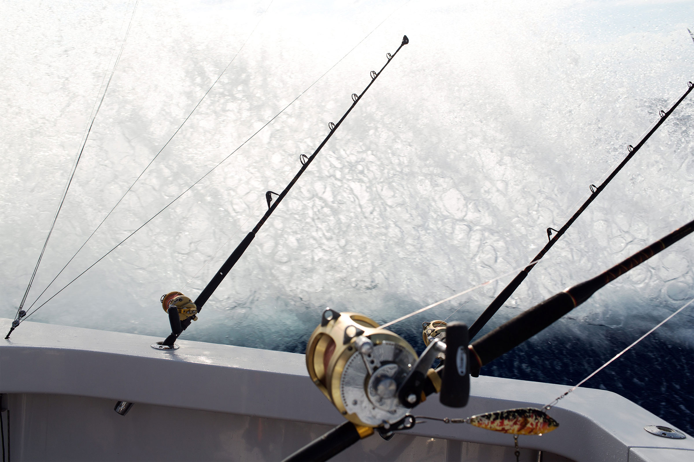 Offshore fishing off the coast of South Florida and The Bahamas. Documenting fishermen after tuna, dolphin, mahi and storms across the Atlantic.